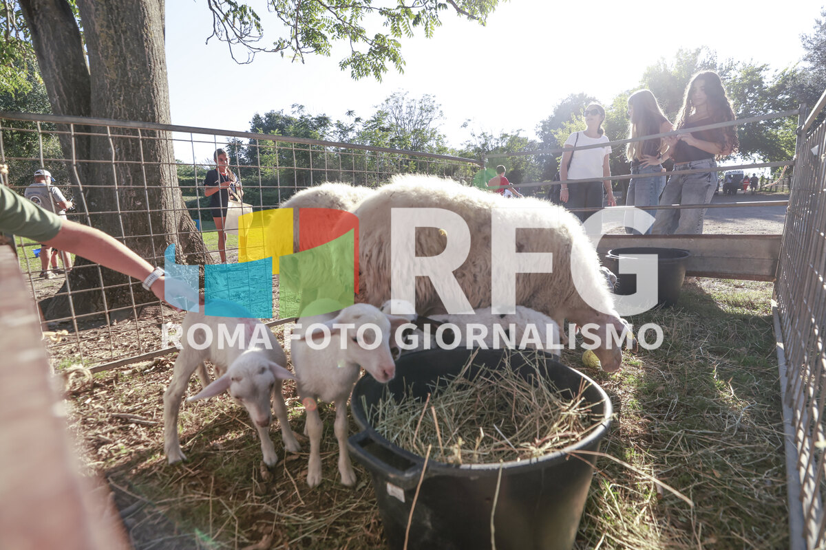 Foto 174 di CONI Lazio - Parco Caffarella